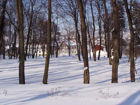 park zimą